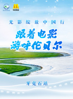日本不卡一区在线观看